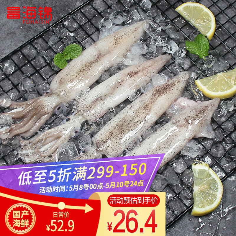 富海锦鲜冻笔管鱿鱼500g 鱿鱼 铁板鱿鱼 火锅烧烤食材 国产海鲜