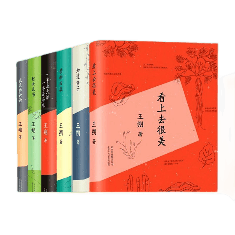 王朔文集全套6册——深入品读现代经典