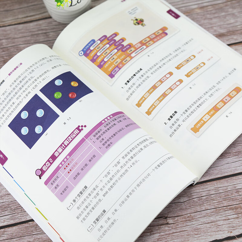 NCT全国青少年编程能力等级测试教程:图形化编程二级详情图