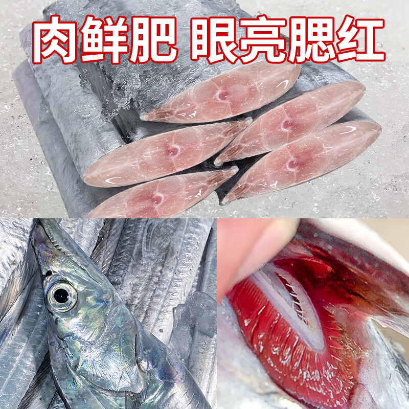 鲜喜利舟山带鱼整条新鲜鲜活冷冻小眼海钓油带鱼生鲜海鲜礼盒特大刀鱼 6-8两/条【净重3斤 舟山直发 】