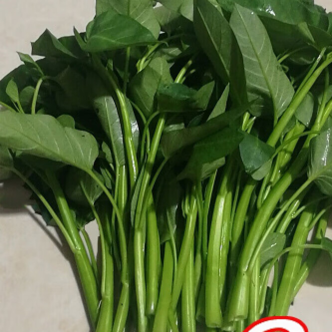 米囹【现采现发】空心菜新鲜重庆农家藤藤菜蕹菜通心菜无心菜空筒菜