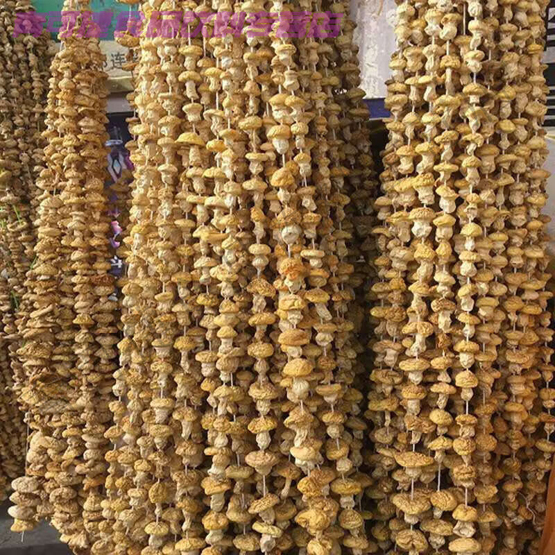 i青海特产 黄蘑菇 香菇 黄菇  青藏特产美味煲汤炒菜居家 带礼盒250克