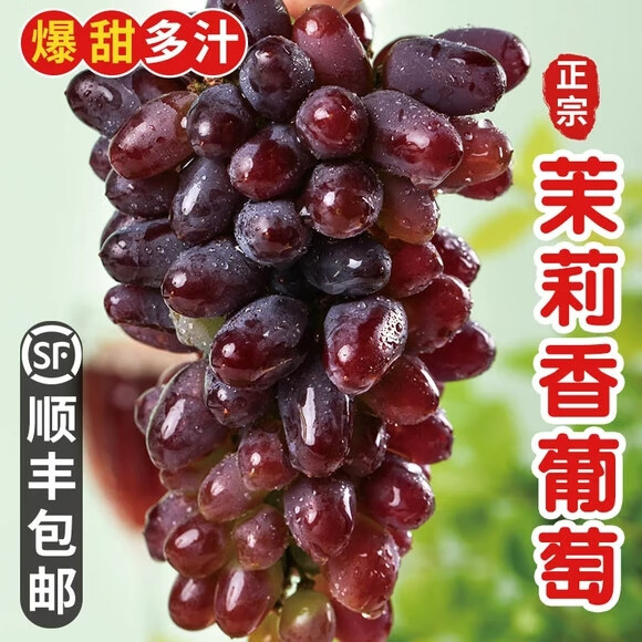 橄表白现货顺丰 东北茉莉香葡萄 无籽5斤新鲜水果郁金香提子现摘 2斤