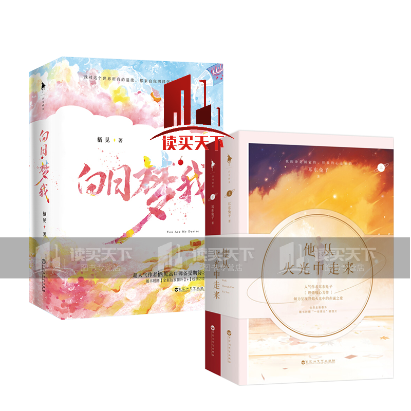 他从火光中走来 白日梦我 栖见 晋江*现代言情作品 小说书籍