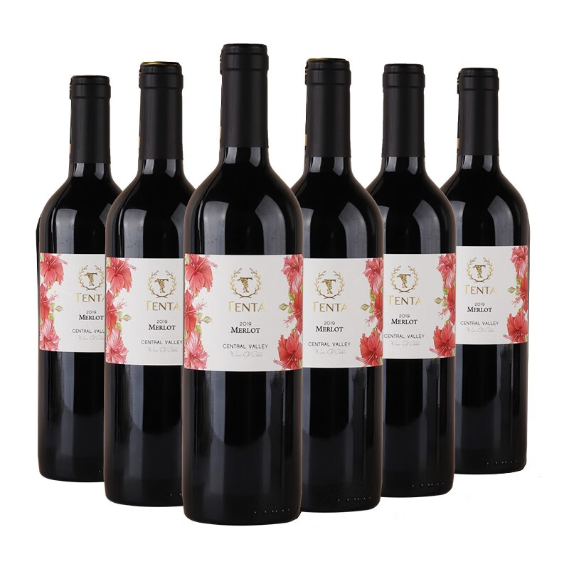 天帕（TENPA）【玫嘉酒汇】智利产区天帕梅洛红葡萄酒750ml*6支装整箱婚庆送礼