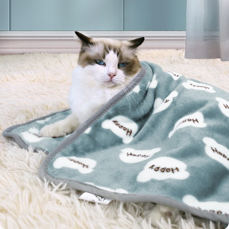 派乐特猫毯子垫子冬天用猫狗睡觉保暖被子双面毛毯四季通用宠物床盖被  happy熊【70*50CM】
