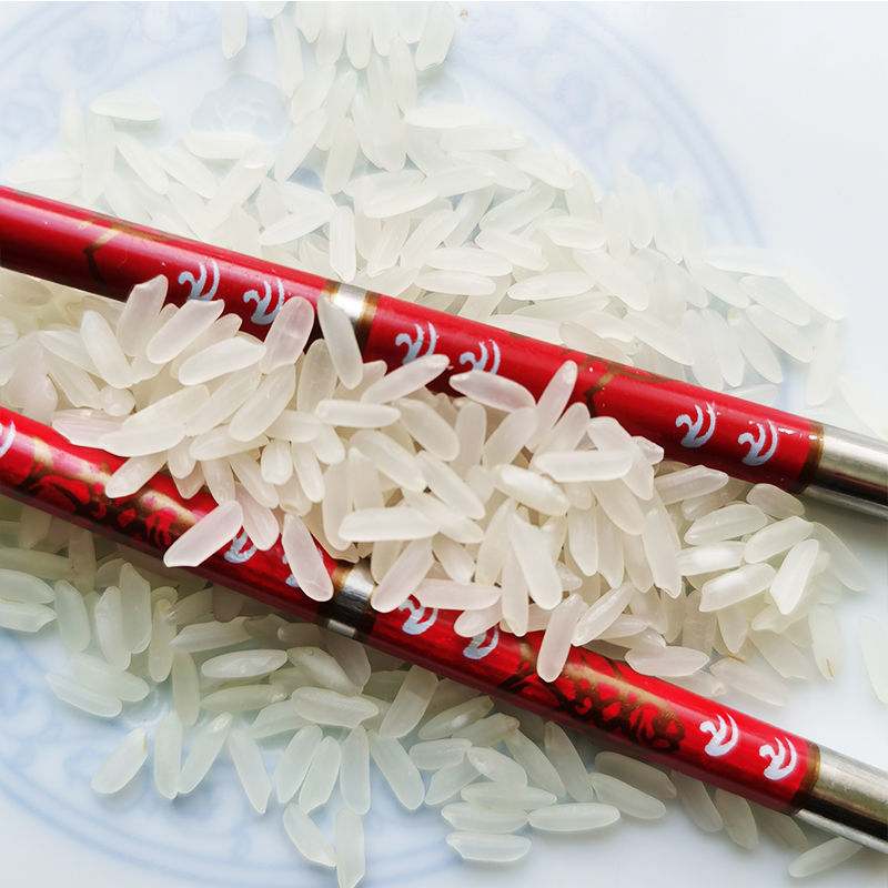 羽芝曼新米猫牙米5kg10斤未抛光长粒米农家自产丝苗籼米煲仔饭a 长粒