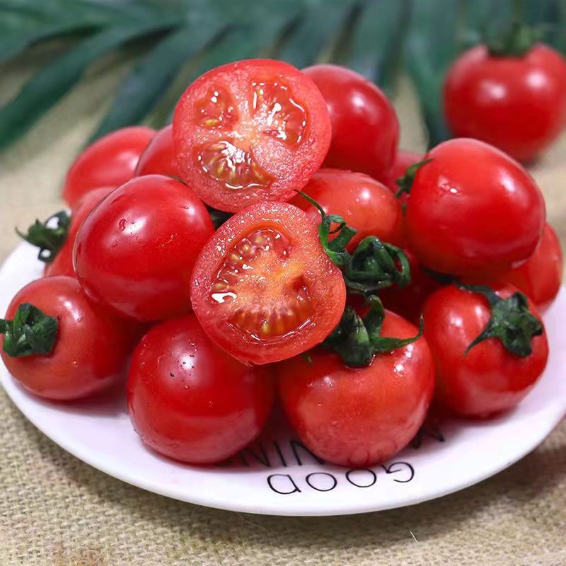 【顺丰包邮】正宗樱桃小番茄贝贝千禧果新鲜水果西红柿圣女果番茄 净重5斤【顺丰+泡沫箱】新鲜采摘