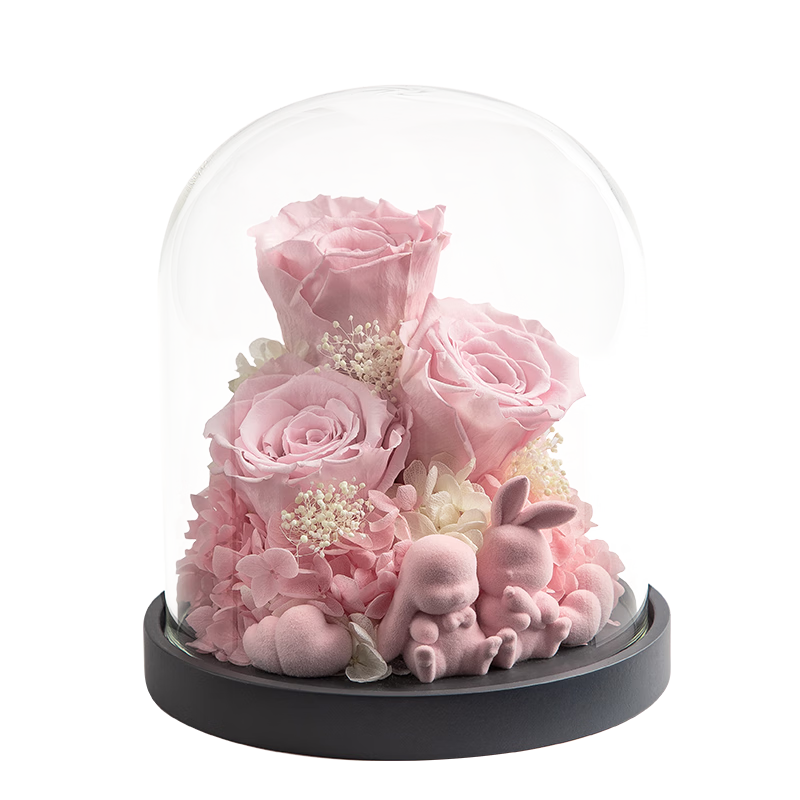 怎么看京东永生花最低价|永生花价格历史