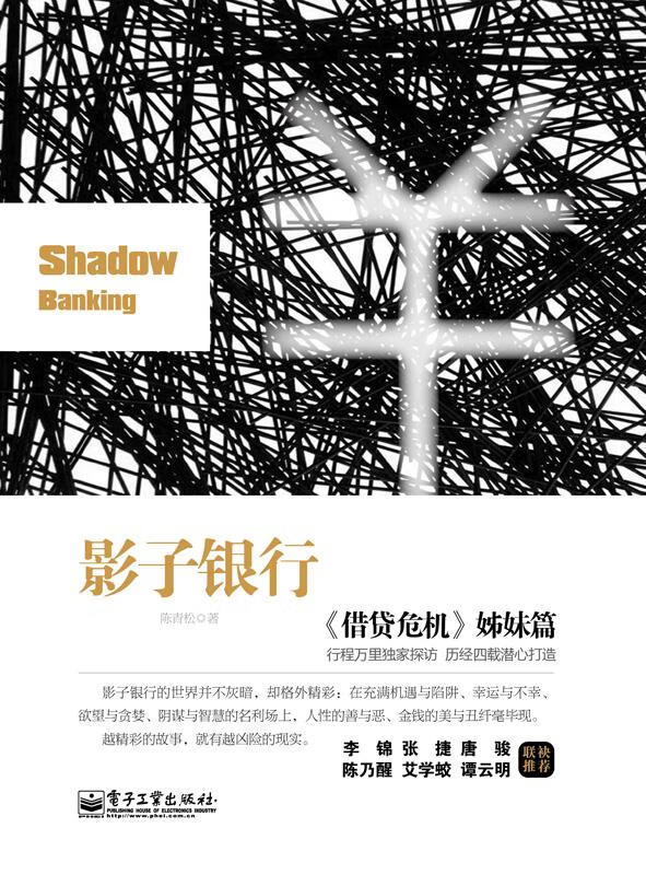 影子银行 陈青松