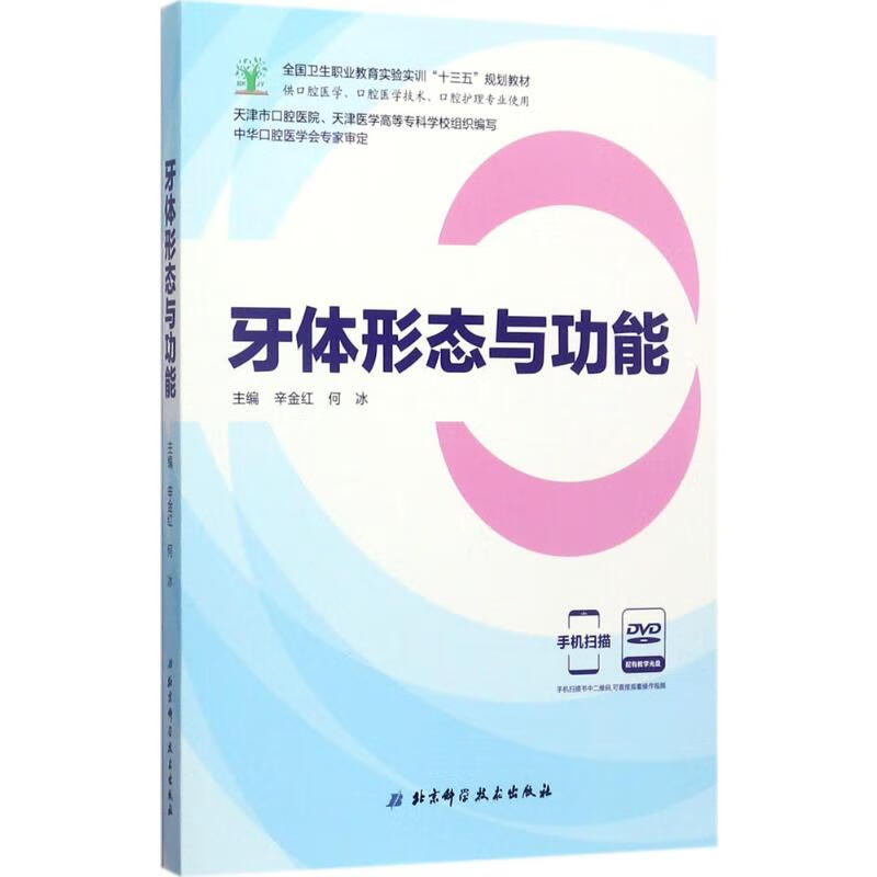 牙体形态与功能