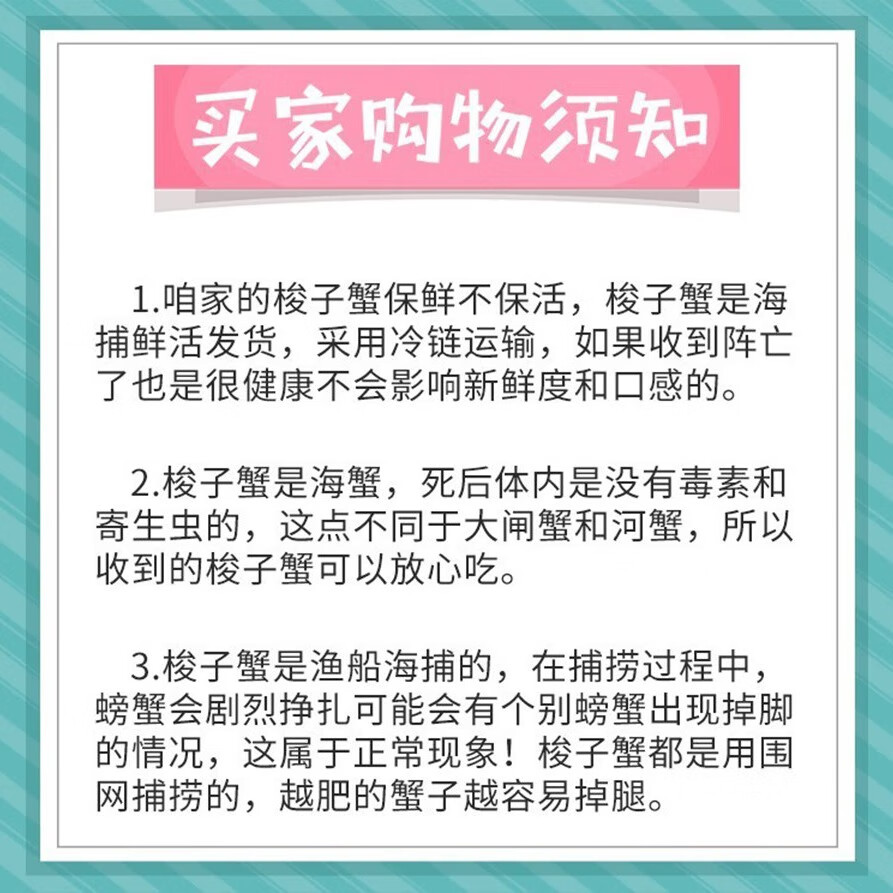莱州湾梭子蟹鲜活新鲜特大海蟹 飞蟹 白蟹 海鲜螃蟹中秋礼盒福利 梭子蟹鲜活 每只1斤以上 10只装