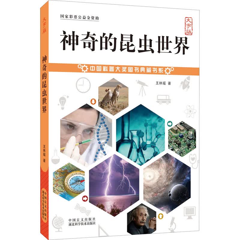 神奇的昆虫世界（大字版） 