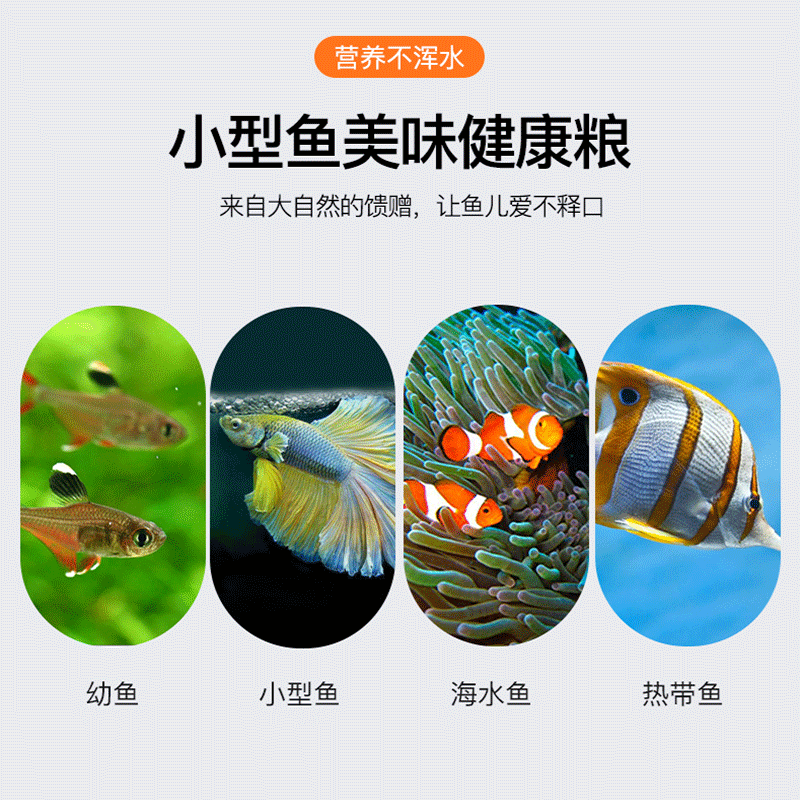 Yee意牌丰年虾卵脱壳卵可孵化幼鱼小型鱼粮开口热带鱼凤尾鱼食孔雀鱼饲料即食丰年虾卵 金装80g 150ml 喂食勺喂食器 虎窝购