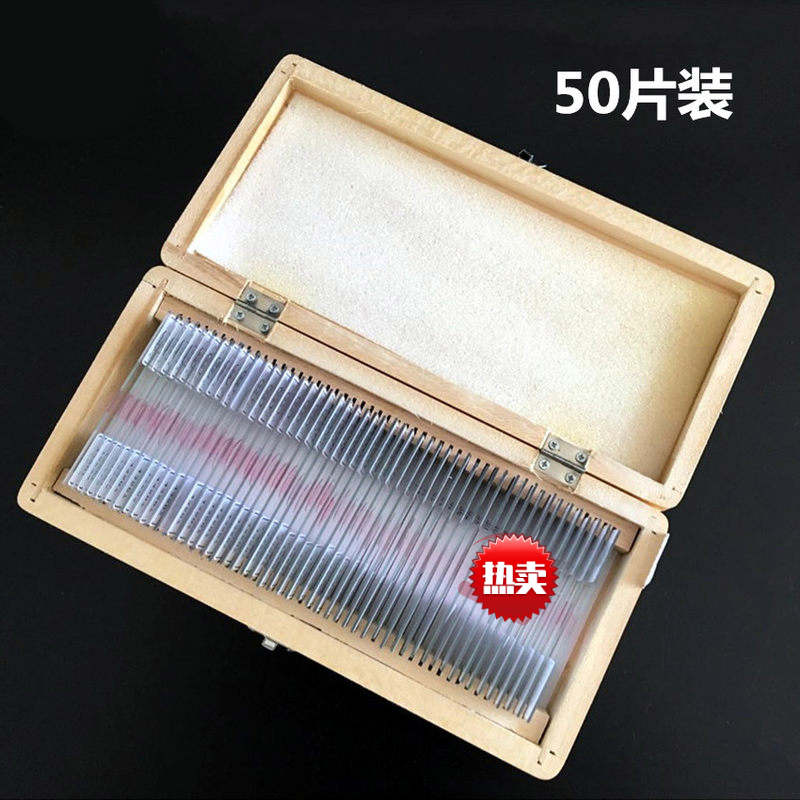 人体四大组织切片 上皮组织 肌肉组织 结缔组织 神经组织 浪花牌 50片