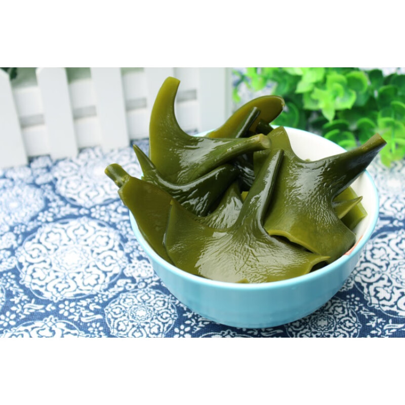 虎钢馋霞浦新鲜海带头5斤 天然厚脆海带头扣结丝非干货福建海产品特产