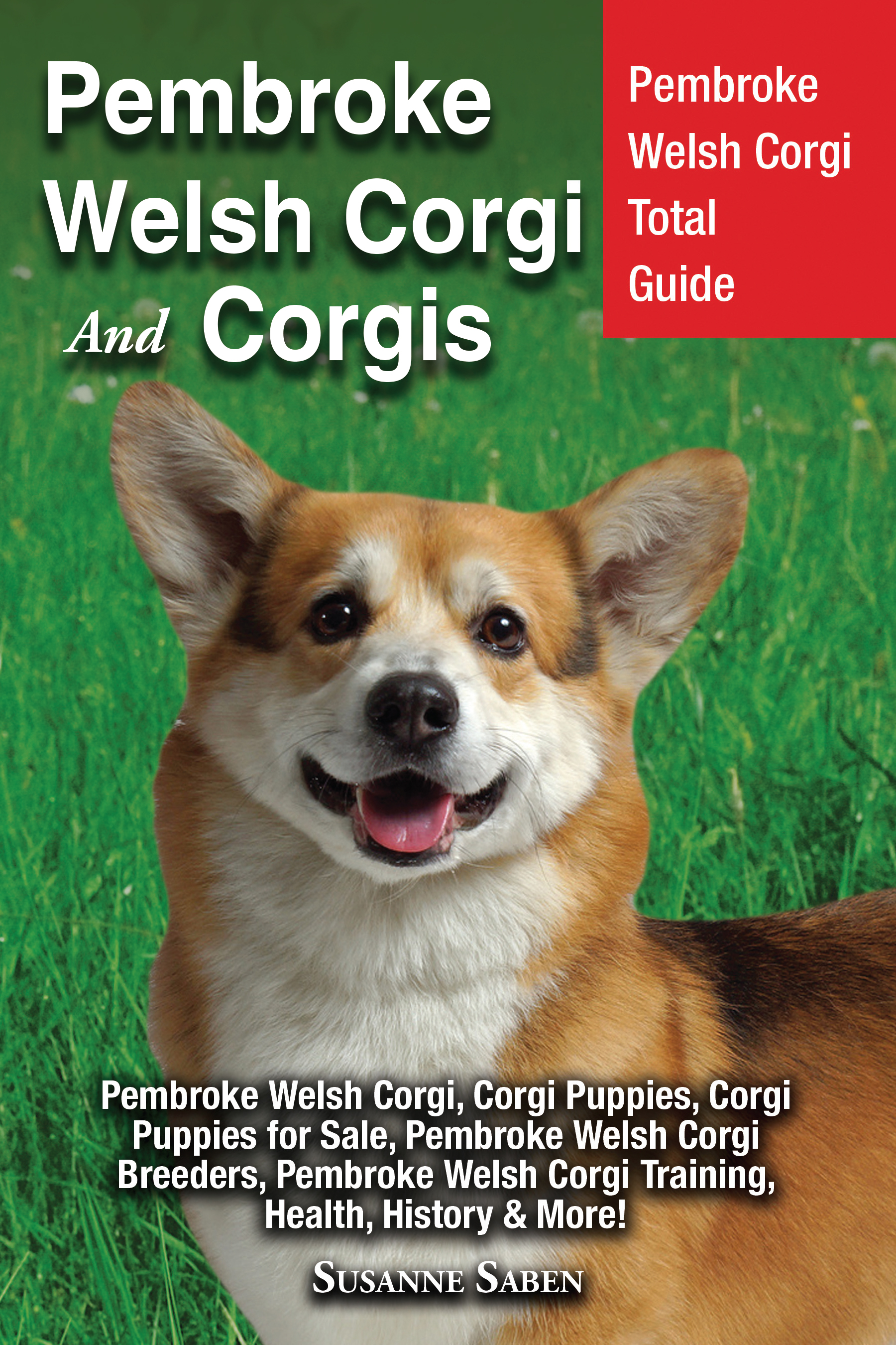 pembroke welsh  corgi and corgis