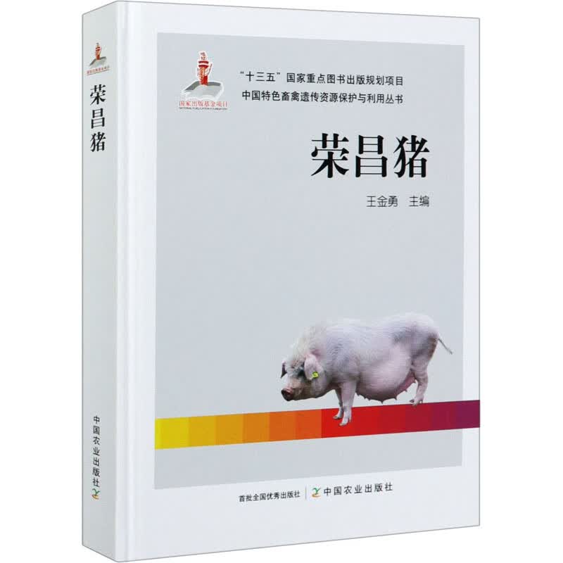 荣昌猪