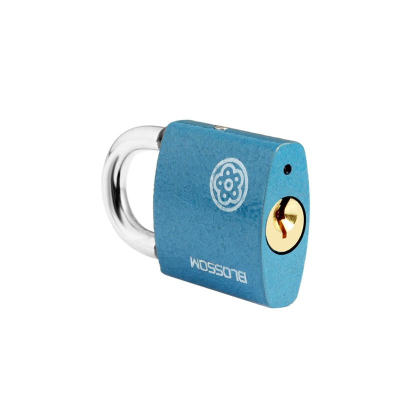 梅花（BLOSSOM）挂锁 腰园铜芯铁锁 家用宿舍柜门小锁防盗窗锁头蓝色 32mm 单把装怎么样,好用不?