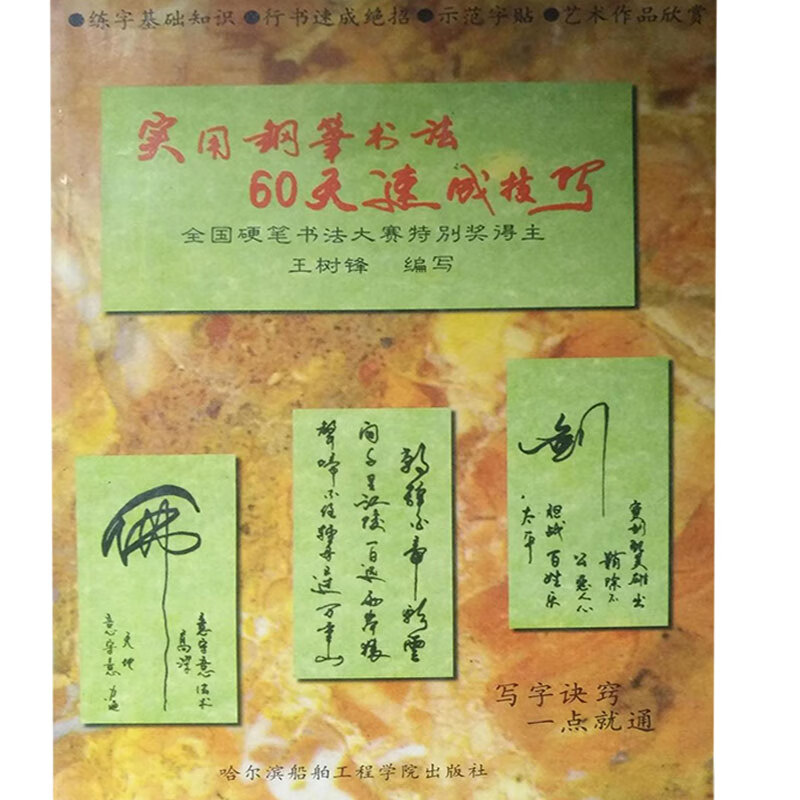 【正版书】实用钢笔书法60天速成技巧