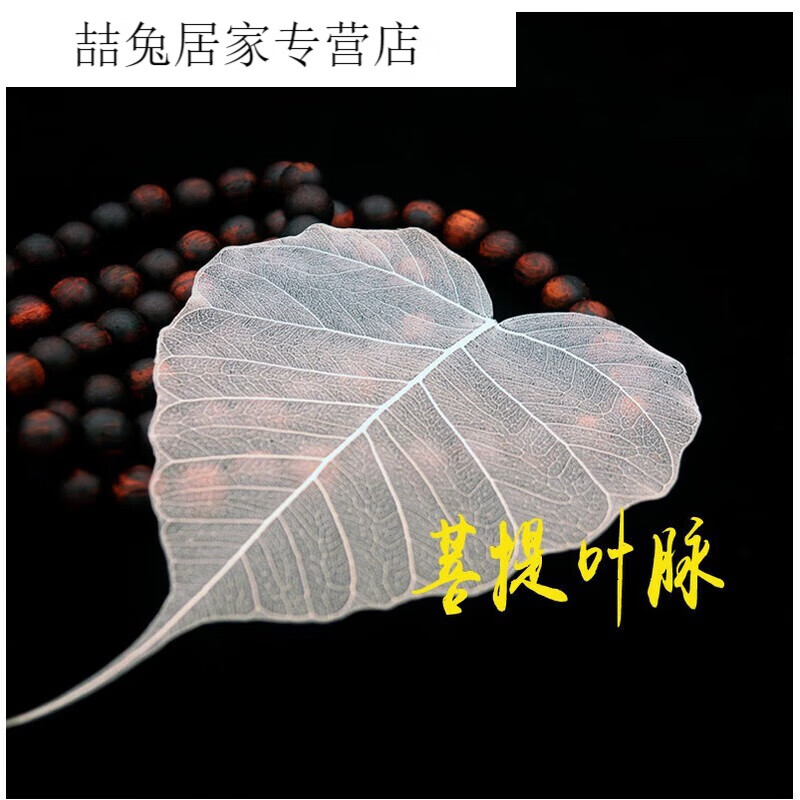 叶脉花材料标签贴画标本 菩提叶脉*10片 宽6cm左右 树叶