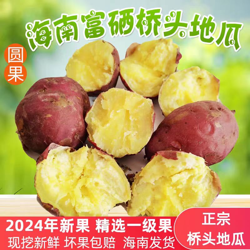 桥头地瓜6