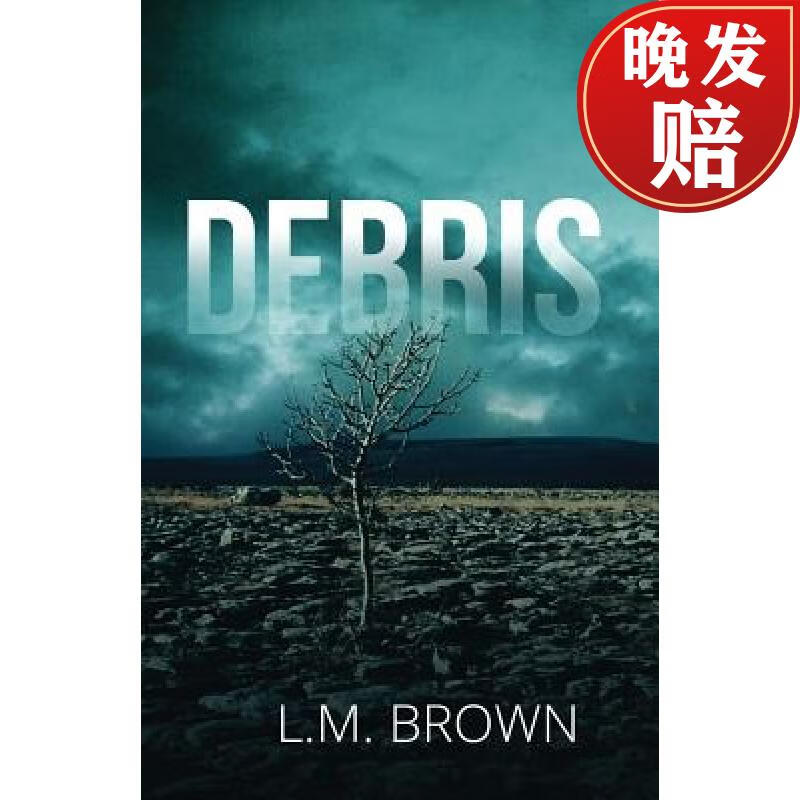 【4周达】debris