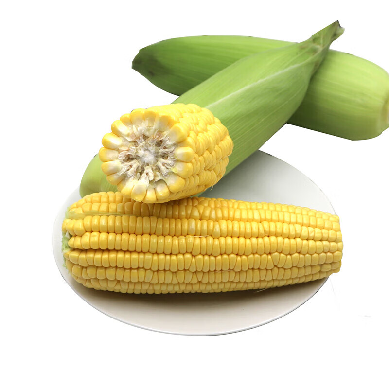 宝菜玉米新鲜黄甜玉米云南带皮水果玉米棒低脂减肥早餐 整箱包邮 净重5斤(约4-7根)