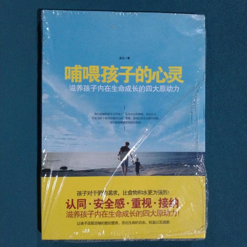 哺喂孩子的心灵:滋养孩子内在生命成长的四大原动力孟迁北京理工