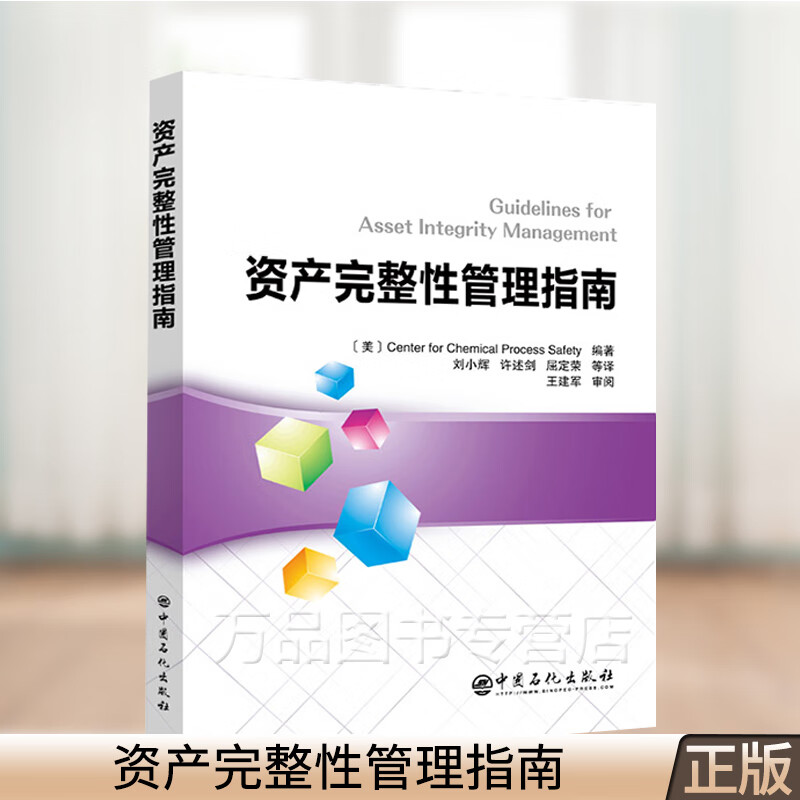 资产完整性管理指南guidelines for asset integrity managemen