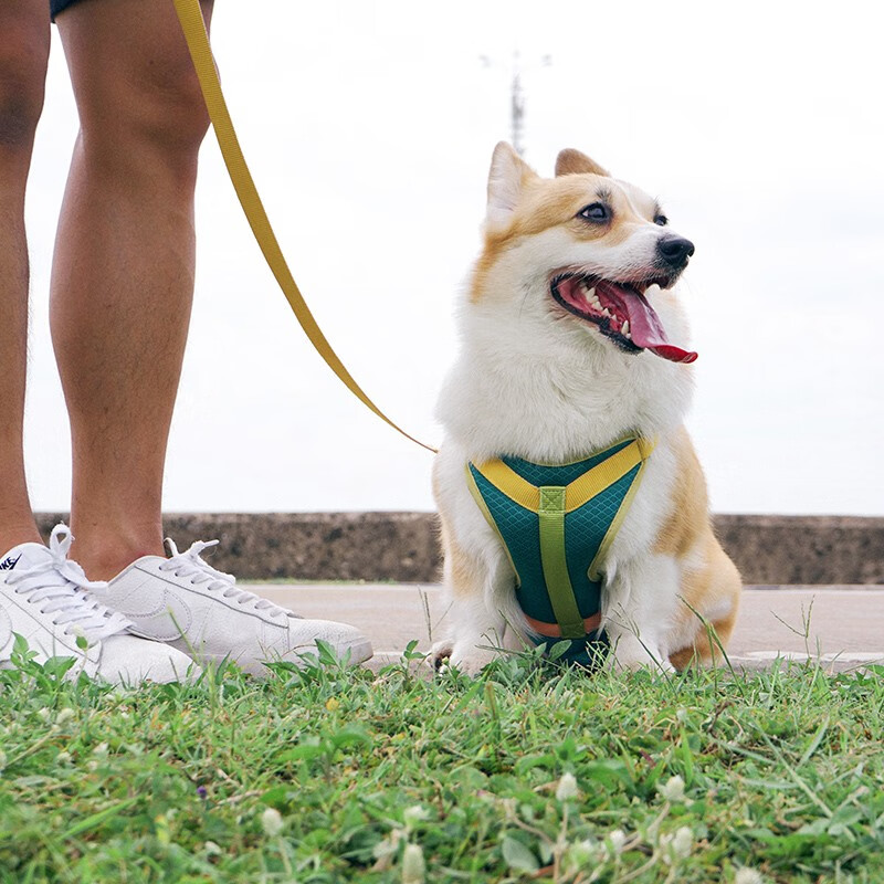 它愿tuffhound宠物胸背带狗狗牵引绳狗绳狗链狗狗胸背带宠物用品小型犬中型犬大型犬金毛泰迪柯基萨摩tf 010 虎窝购 它愿tuffhound宠物胸背带狗狗牵引绳狗绳狗链狗狗胸背带宠物用品小型犬中型犬大型犬金毛泰迪柯基萨摩tf 010 虎窝购