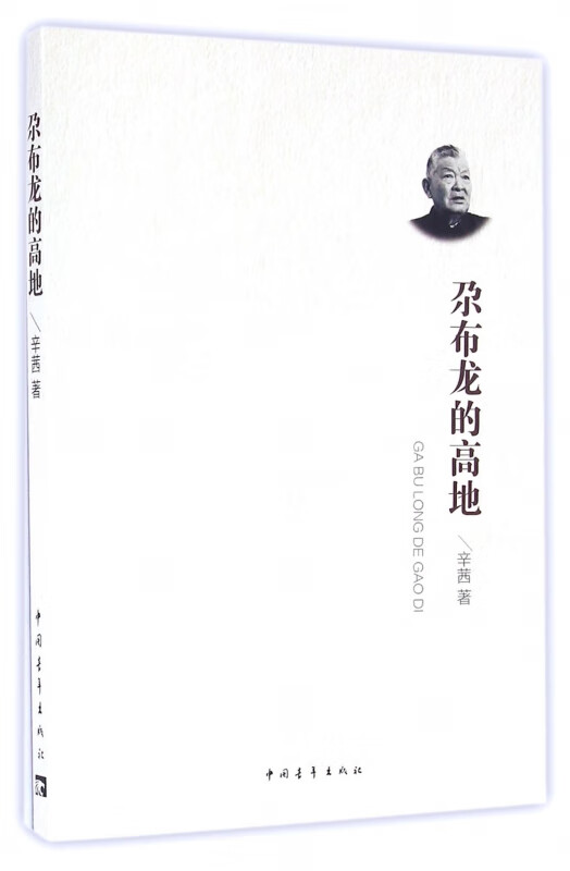 尕布龙的高地