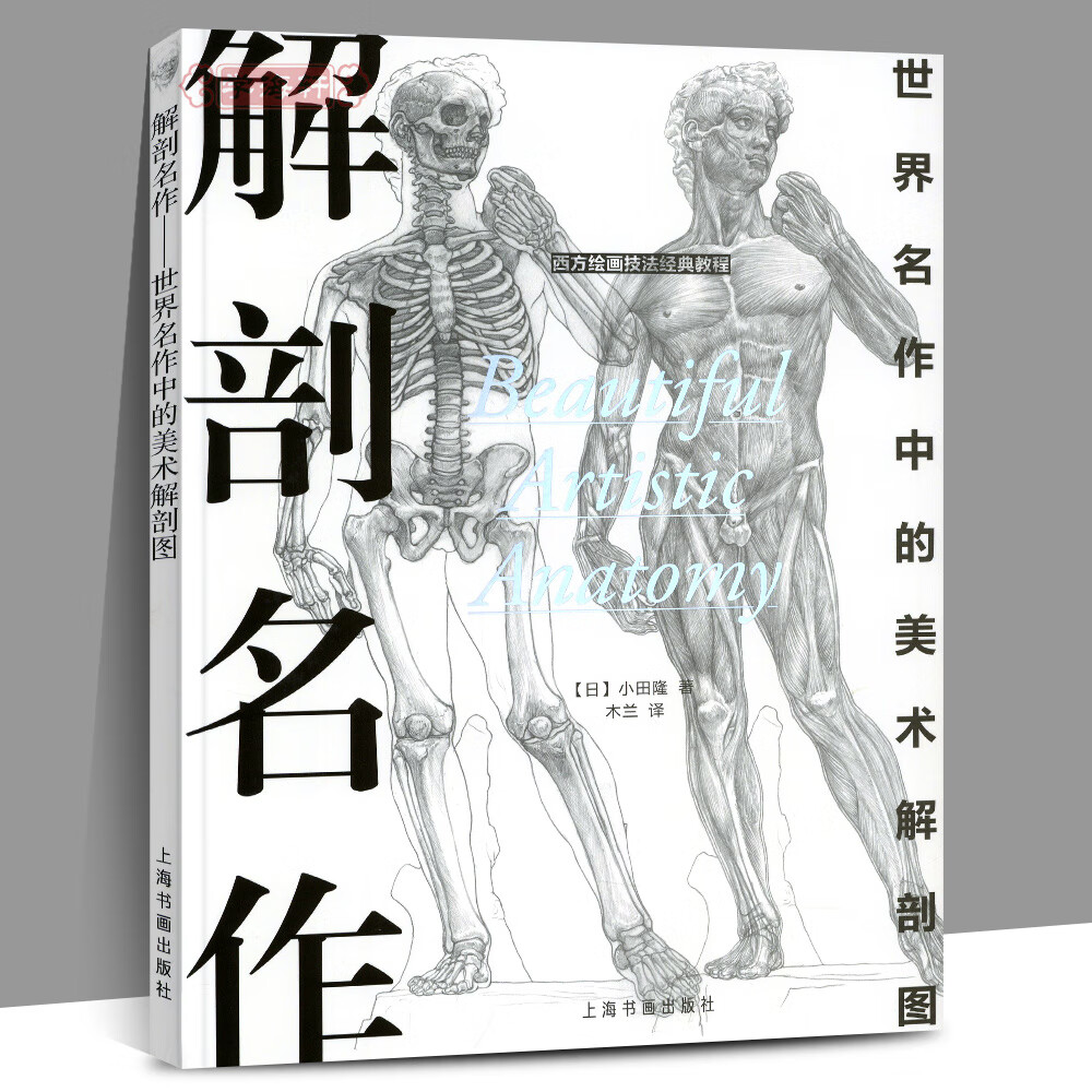 扫码看完整视频教学 西方绘画技法教程人体解剖技法分步基础步骤详解