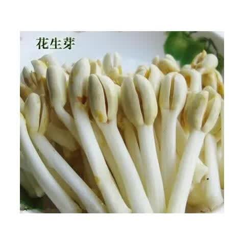 酒店特色菜 泡椒花生苗 花生芽 爽嫩净菜 冷菜冷盘小菜 开袋即食