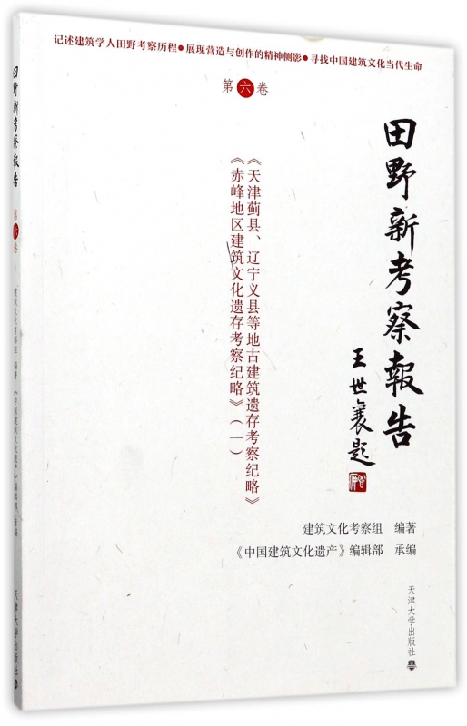 田野新考察报告(第6卷)