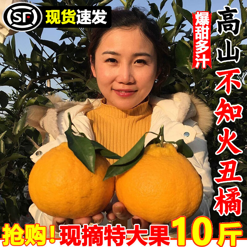 不知火丑橘10斤新鲜水果当季整箱丑八怪橘子粑粑蜜桔子柑橘桔 1斤 中果经济尝鲜试吃