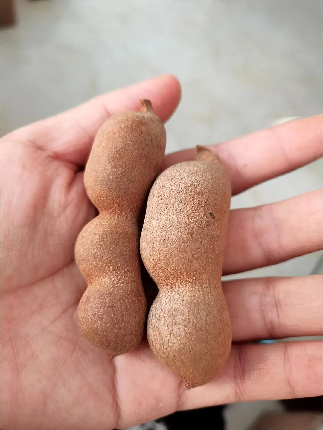 隽辰堂新日期酸角云南特产新鲜甜酸角罗望子休闲孕妇零食蜜饯果脯散装