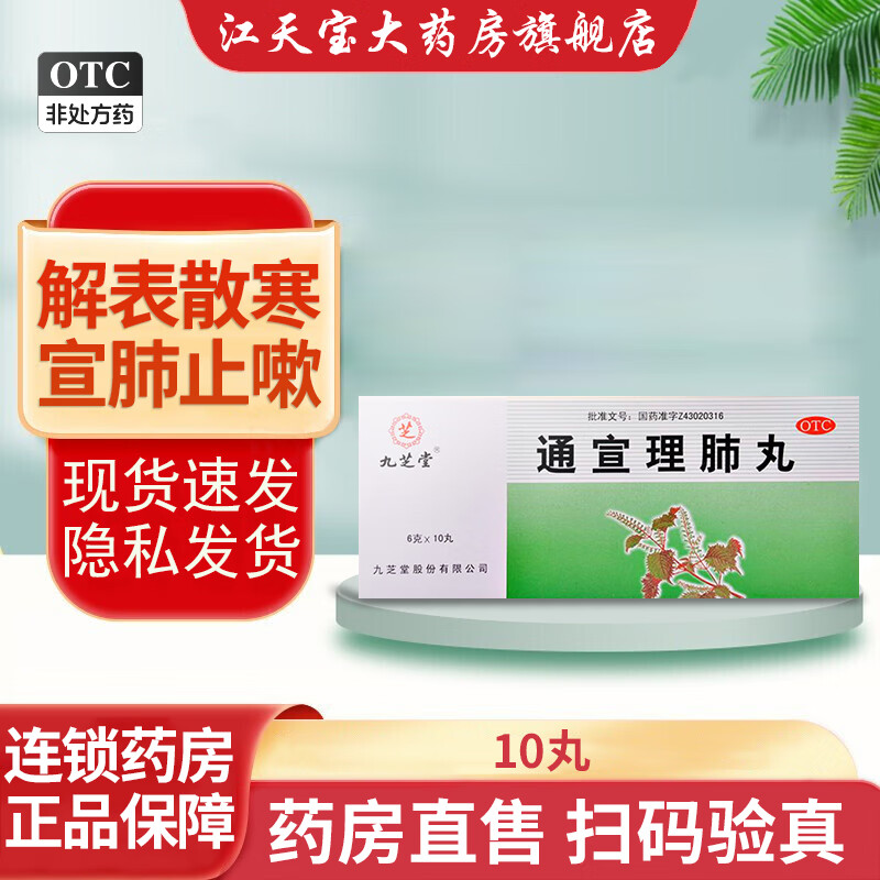 九芝堂 通宣理肺丸 6g*10丸 6克*10丸*1盒