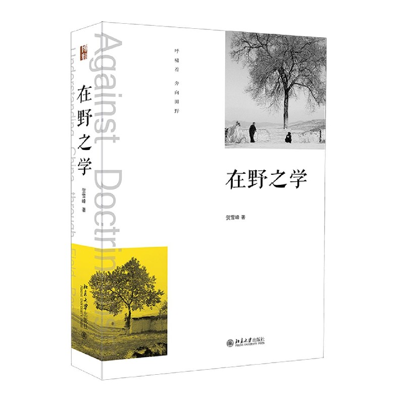 在野之学