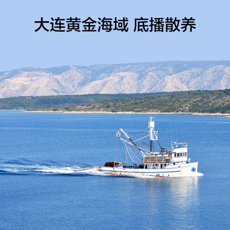 2024年最受欢迎的即食海参品牌推荐，认准这几款，买对不吃亏-图片4