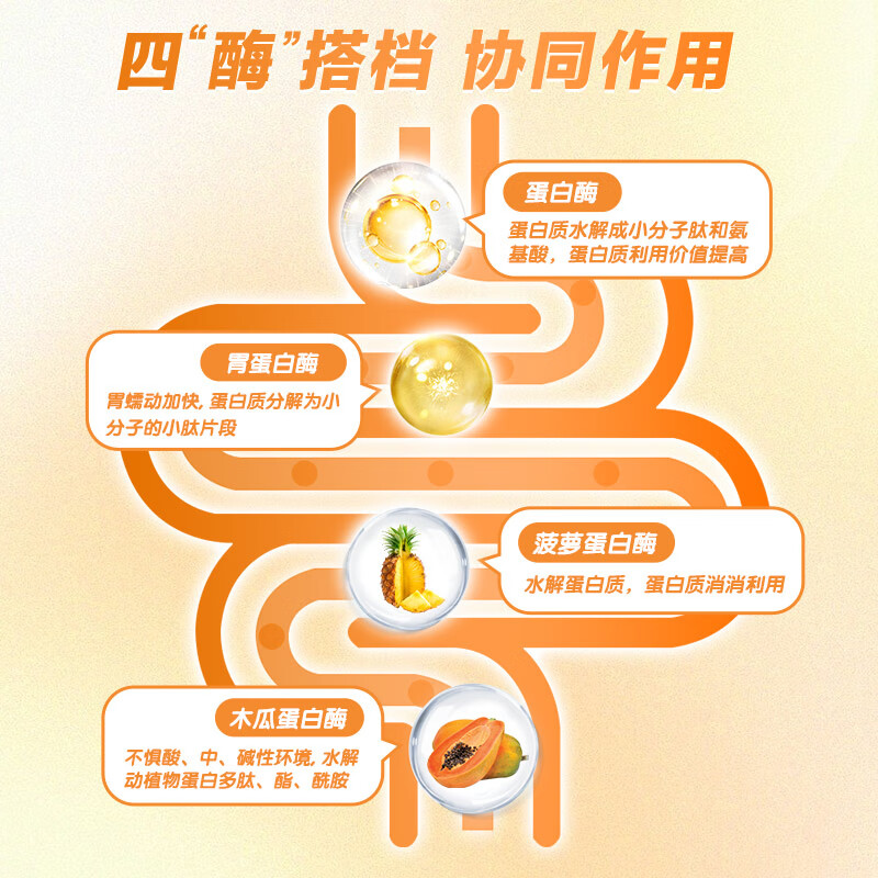 恩博维蛋白酶滴剂婴幼儿消化酶 儿童宝宝胃蛋白酶 木瓜蛋白酶菠萝蛋白酶 蛋白酶+营养师服务 60ml*1瓶