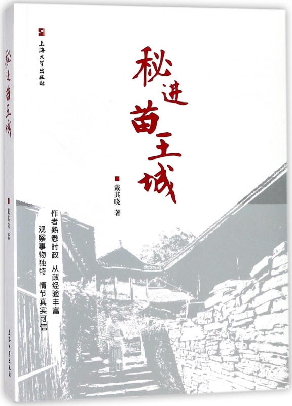 秘进苗王城