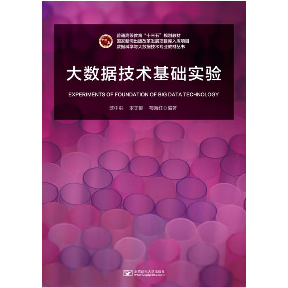 大数据技术基础实验详情图