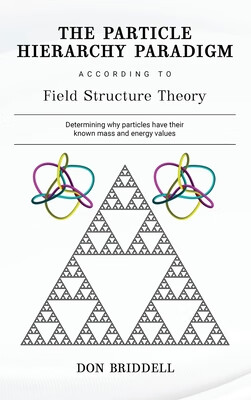 预订 The Particle Hierarchy Paradigm