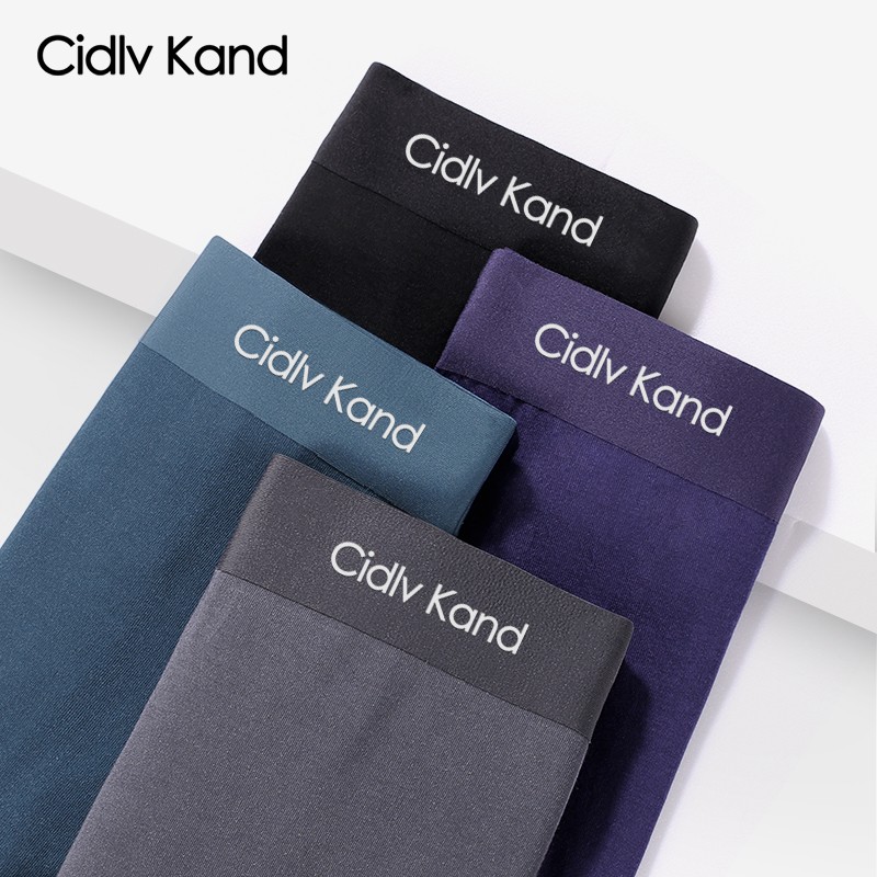 Cidlv kand男士内裤男莫代尔冰丝无痕抑菌四角裤透气宽松柔软平角秋冬夏款 【莫代尔】A10CK品牌专柜 纯色 4条 3XL (160-185斤)