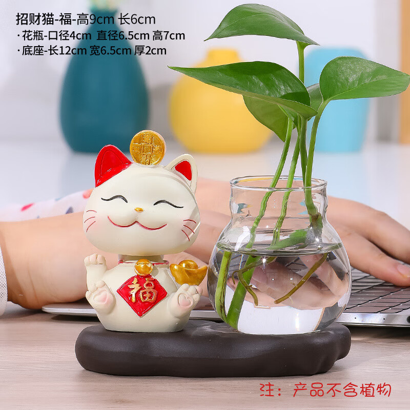 红笙可爱招财猫办公桌面治愈水培摆件生日毕业礼物创意装饰品盆栽礼品