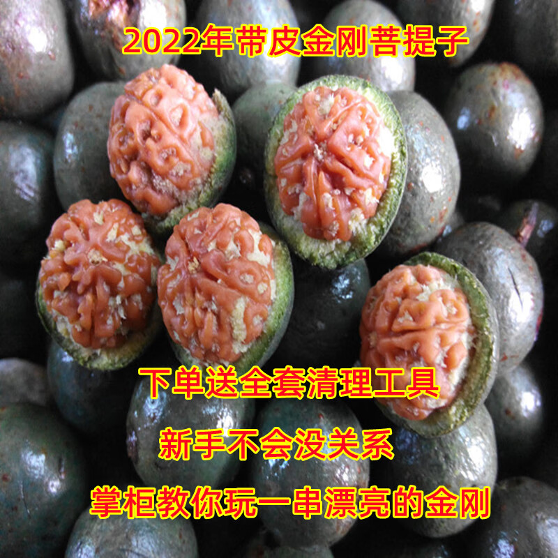 奢曼蒂(shemandi)带皮青皮金刚菩提子手串原籽五瓣爆肉双龙男女士文玩