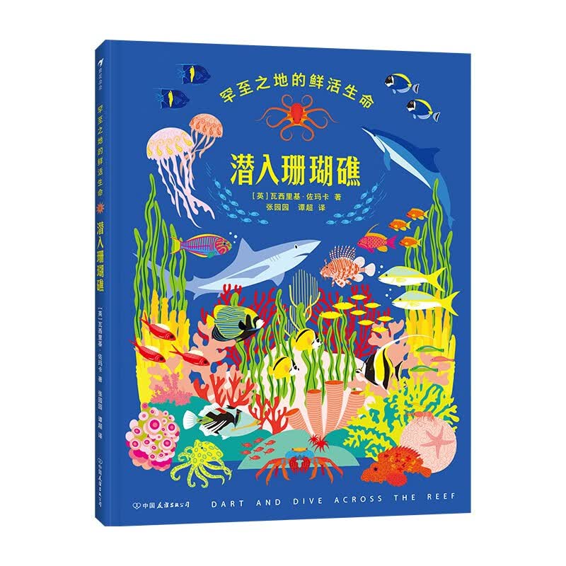 潜入珊瑚礁 