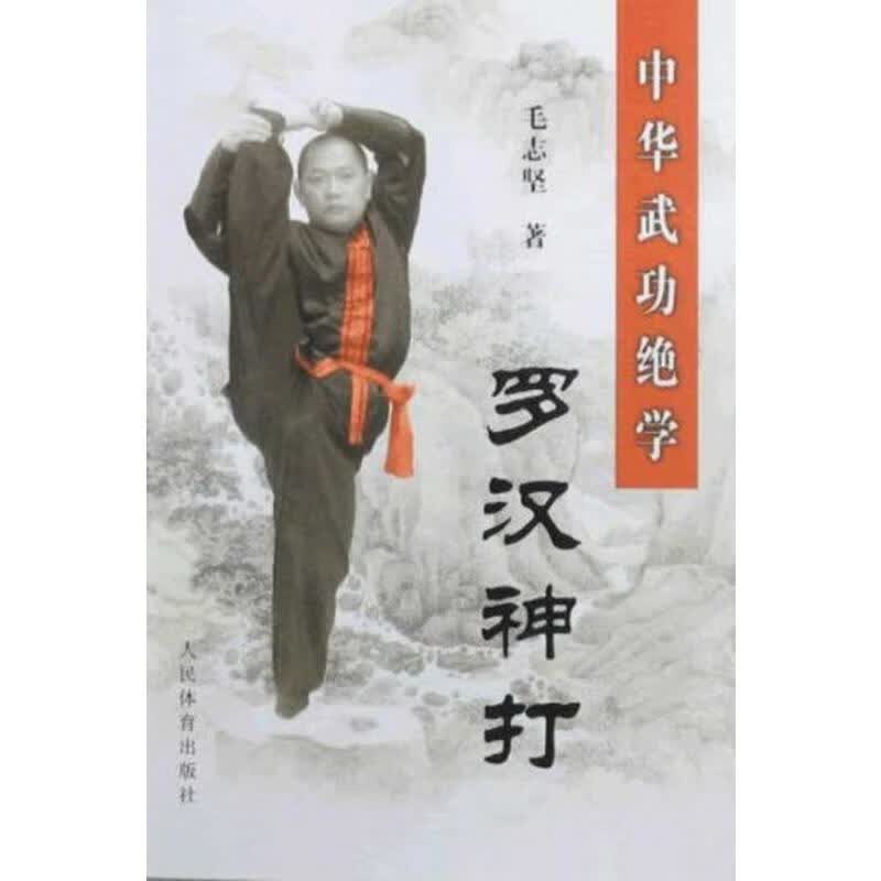 中华武功绝学：罗汉神打 毛志坚  书籍