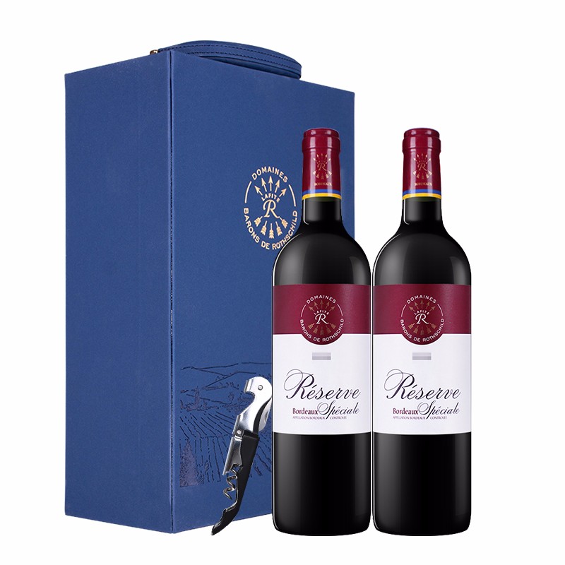 拉菲（LAFITE）罗斯柴尔德 珍藏波尔多干红葡萄酒 750ml*2瓶 双支礼盒装（幻蓝） 法国进口红酒（DBR）caamdegnt